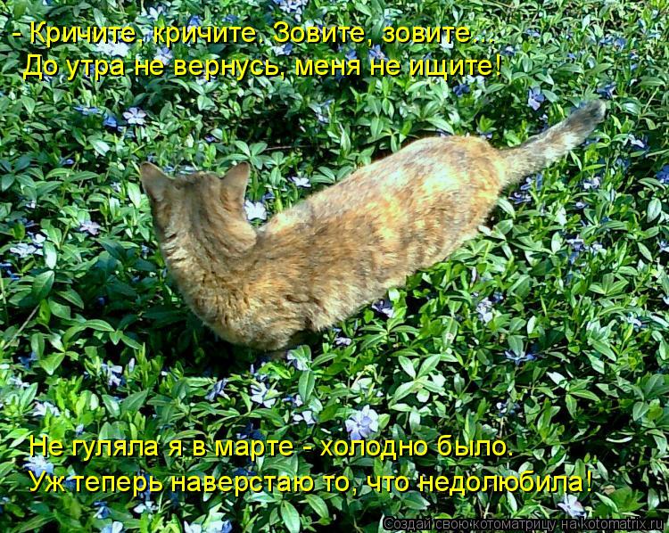 - Кричите, кричите. Зовите, зовите... До утра не вернусь, меня не ищите! Не гуляла я в марте - холо... Котоматрица: - Кричите, кричите. Зовите, зовите... До утра не вернусь, меня не ищите! Не гуляла я в марте - холодно было. Уж теперь наверстаю то, что недолюби