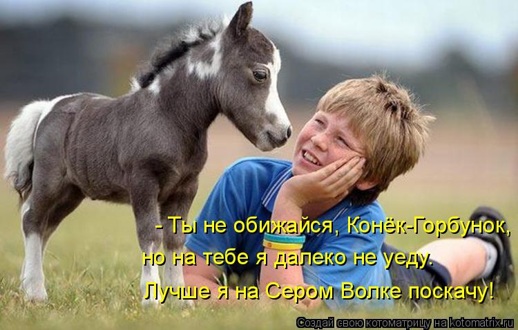 - Ты не обижайся, Конёк-Горбунок, но на тебе я далеко не уеду. Лучше я на Сером Волке поскачу!... Котоматрица: - Ты не обижайся, Конёк-Горбунок, но на тебе я далеко не уеду. Лучше я на Сером Волке поскачу!