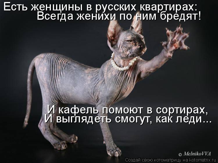 Есть женщины в русских квартирах: И кафель помоют в сортирах, И выглядеть смогут, как леди... Всегда... Котоматрица: Есть женщины в русских квартирах: И кафель помоют в сортирах, И выглядеть смогут, как леди... Всегда женихи по ним бредят!