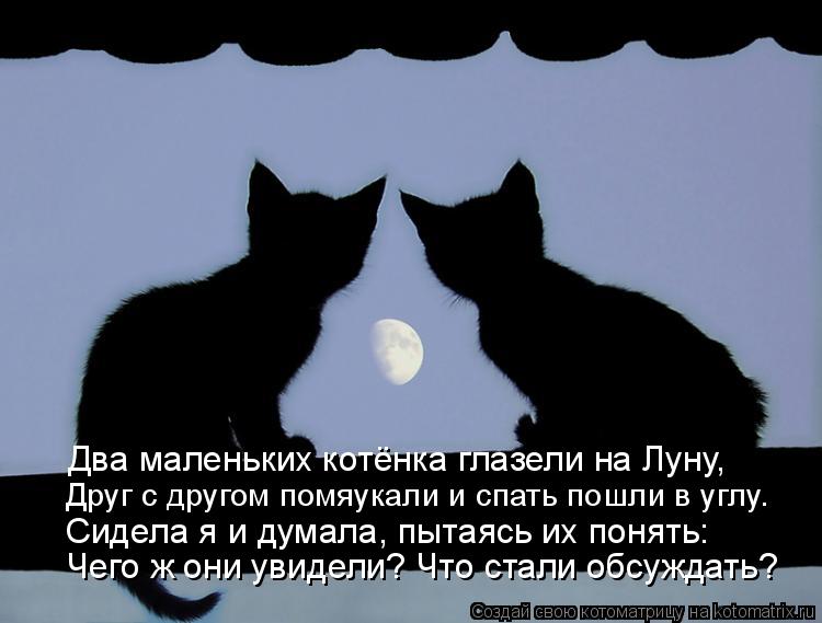 Чего ж они увидели? Что стали обсуждать? Сидела я и думала, пытаясь их понять: Друг с другом помяукал... Котоматрица: Чего ж они увидели? Что стали обсуждать? Сидела я и думала, пытаясь их понять: Друг с другом помяукали и спать пошли в углу. Два маленьких кот