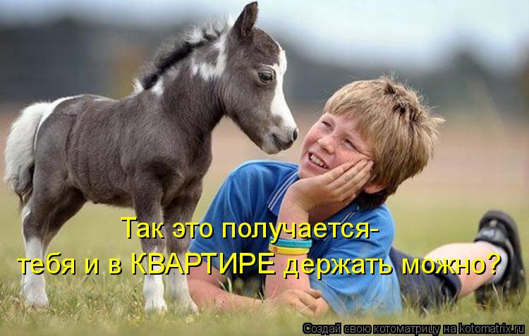 Так это получается- тебя и в КВАРТИРЕ держать можно?... Котоматрица: Так это получается- тебя и в КВАРТИРЕ держать можно?