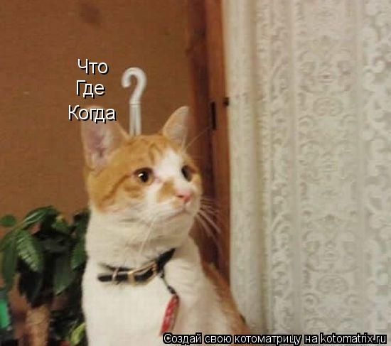 Что Где Когда... Котоматрица: Что Где Когда