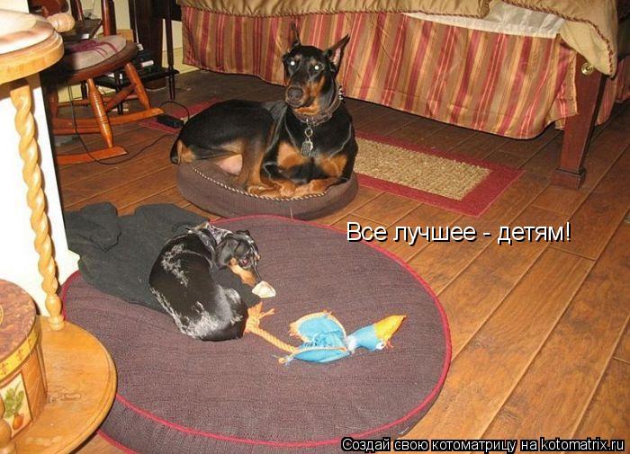 Все лучшее - детям!... Котоматрица: Все лучшее - детям!