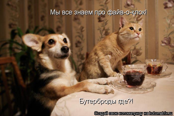 Котоматрица: Мы все знаем про файв-о-клок! Бутерброды где?!