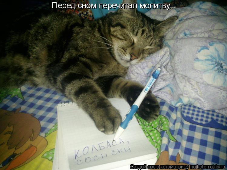 Котоматрица: -Перед сном перечитал молитву...