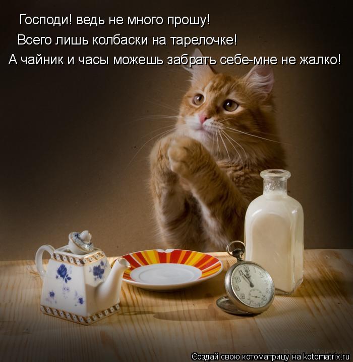 Котоматрица: Господи! ведь не много прошу! Всего лишь колбаски на тарелочке! А чайник и часы можешь забрать себе-мне не жалко!