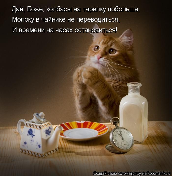 Котоматрица: Дай, Боже, колбасы на тарелку побольше, Молоку в чайнике не переводиться, И времени на часах остановиться!