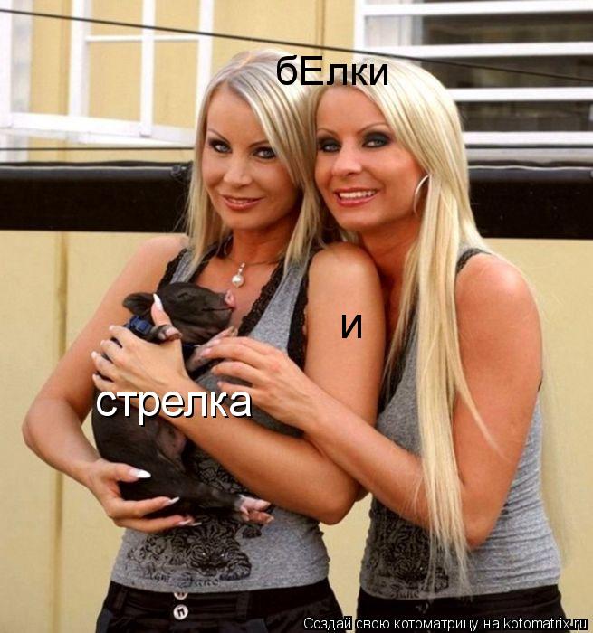 бЕлки и стрелка... Котоматрица: бЕлки и стрелка