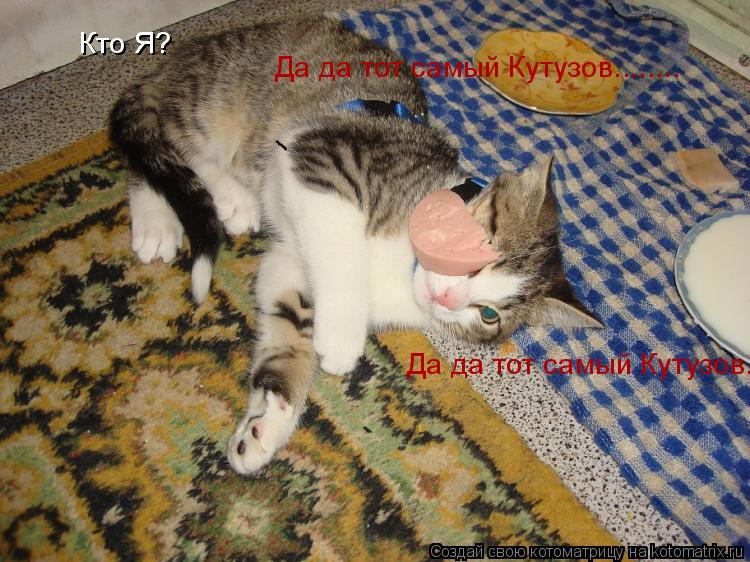 Котоматрица: Кто Я? Да да тот самый Кутузов........ Да да тот самый Кутузов........