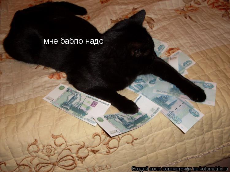 Котоматрица: мне бабло надо