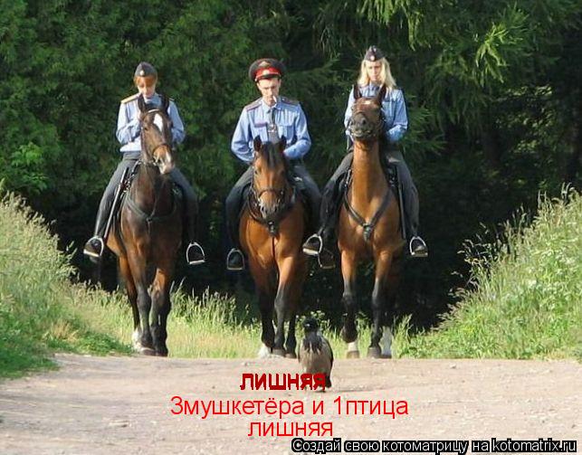 Котоматрица: 3мушкетёра и 1птица лишняя лишняя лишняя лишняя