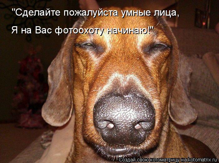 Котоматрица: "Сделайте пожалуйста умные лица, Я на Вас фотоохоту начинаю!"