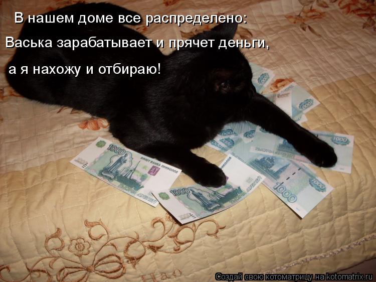 Котоматрица: В нашем доме все распределено: Васька зарабатывает и прячет деньги, а я нахожу и отбираю!
