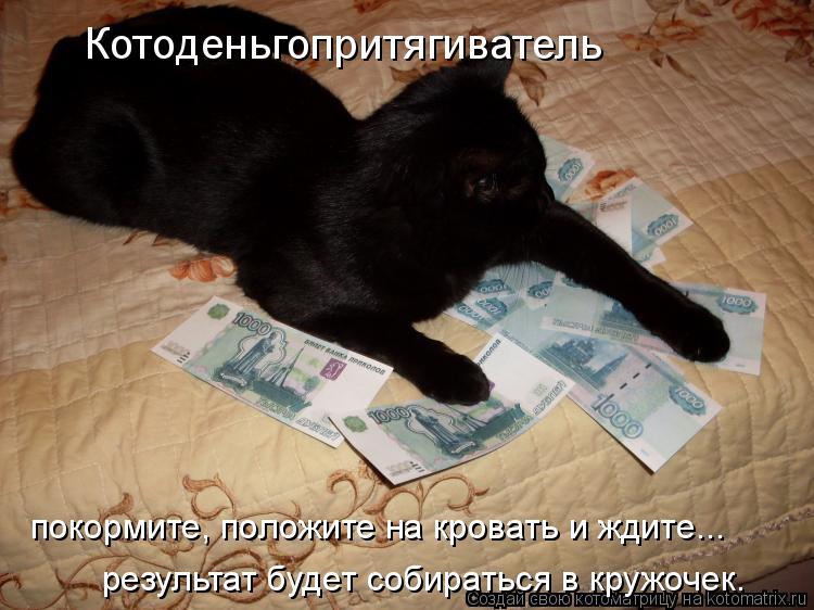 Котоматрица: Котоденьгопритягиватель покормите, положите на кровать и ждите... результат будет собираться в кружочек.