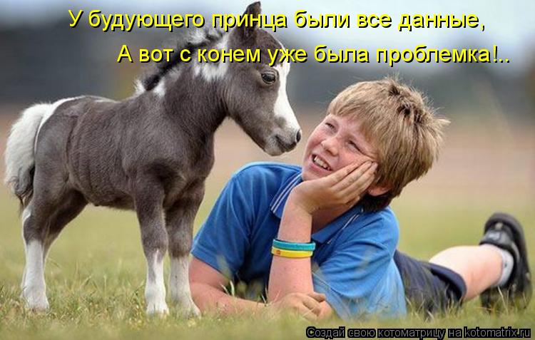 Котоматрица: У будующего принца были все данные, А вот с конем уже была проблемка!..