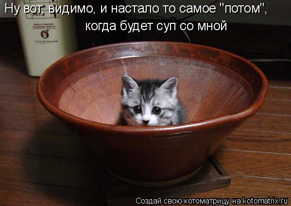 Котоматрица: Ну вот, видимо, и настало то самое "потом",  когда будет суп со мной
