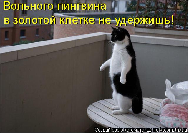 Котоматрица: Вольного пингвина  в золотой клетке не удержишь!