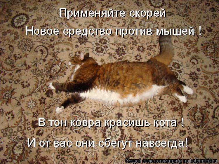Котоматрица: Применяйте скорей  Новое средство против мышей ! В тон ковра красишь кота ! И от вас они сбегут навсегда!