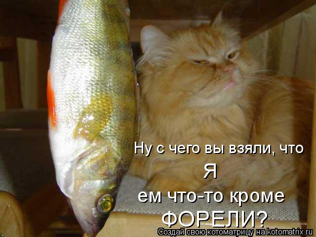 Котоматрица: Ну с чего вы взяли, что  Я ем что-то кроме  ФОРЕЛИ?