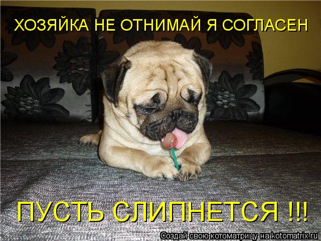 Котоматрица: ПУСТЬ СЛИПНЕТСЯ !!!  ХОЗЯЙКА НЕ ОТНИМАЙ Я СОГЛАСЕН