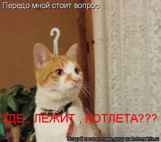 Котоматрица: Передо мной стоит вопрос ГДЕ , ЛЕЖИТ , КОТЛЕТА???
