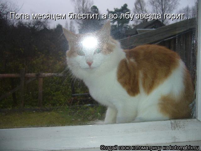 Котоматрица: Попа месяцем блестит, а во лбу звезда горит...