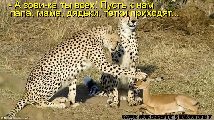 Котоматрица: папа, мама, дядьки, тетки приходят... - А зови-ка ты всех! Пусть к нам