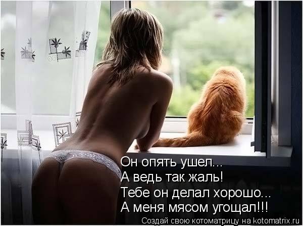 Котоматрица: Он опять ушел... А ведь так жаль! Тебе он делал хорошо... А меня мясом угощал!!!