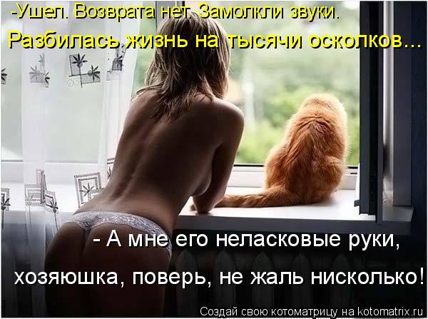 -Ушел. Возврата нет. Замолкли звуки. Разбилась жизнь на тысячи осколков... хозяюшка, поверь, не жаль ... Котоматрица: -Ушел. Возврата нет. Замолкли звуки. Разбилась жизнь на тысячи осколков... хозяюшка, поверь, не жаль нисколько! - А мне его неласковые руки,
