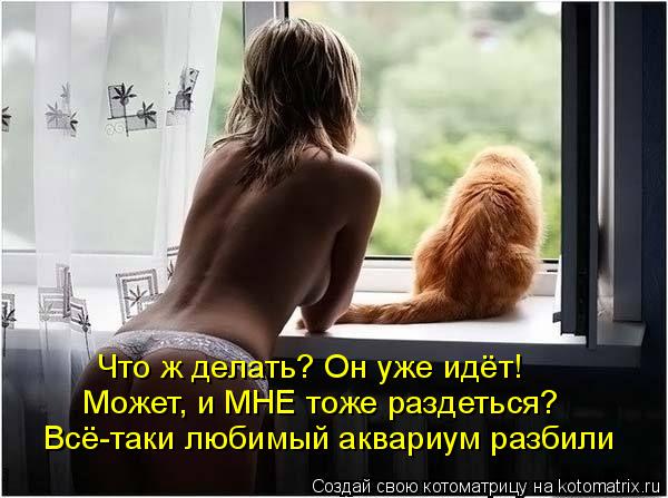 Может, и МНЕ тоже раздеться? Всё-таки любимый аквариум разбили Что ж делать? Он уже идёт!... Котоматрица: Может, и МНЕ тоже раздеться? Всё-таки любимый аквариум разбили Что ж делать? Он уже идёт!