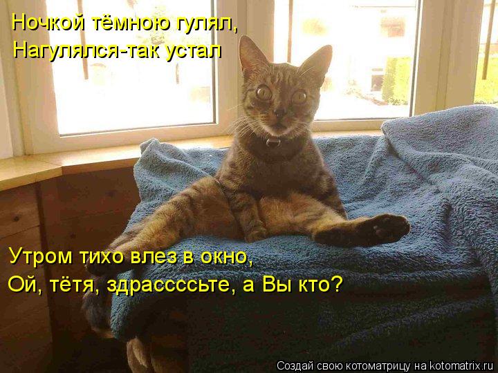 Ночкой тёмною гулял, Утром тихо влез в окно, Ой, тётя, здрассссьте, а Вы кто? Нагулялся-так устал... Котоматрица: Ночкой тёмною гулял, Утром тихо влез в окно, Ой, тётя, здрассссьте, а Вы кто? Нагулялся-так устал