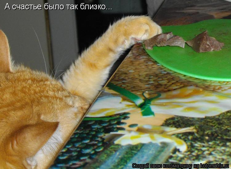 Котоматрица: А счастье было так близко...
