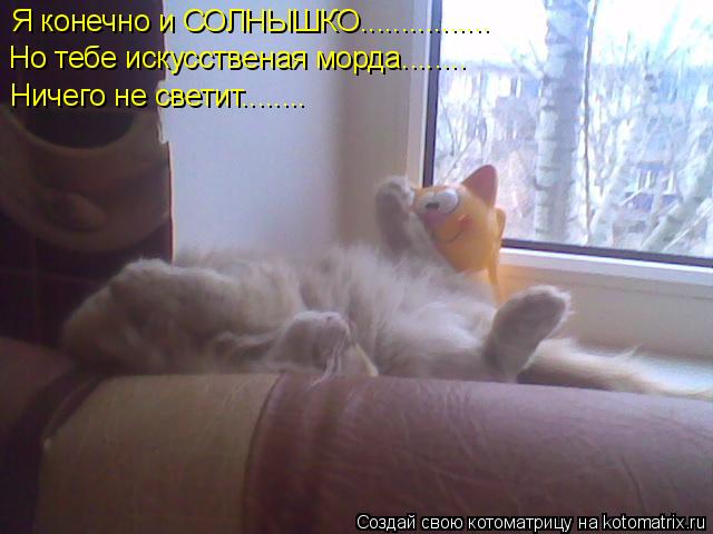 Котоматрица: Я конечно и СОЛНЫШКО................ Но тебе искусственая морда........ Ничего не светит........