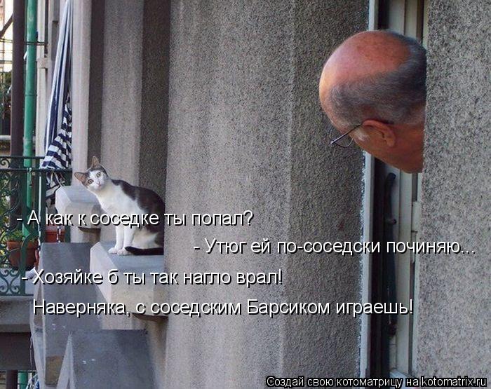 Котоматрица: - А как к соседке ты попал? - Утюг ей по-соседски починяю... - Хозяйке б ты так нагло врал! Наверняка, с соседским Барсиком играешь!