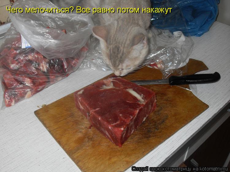 Котоматрица: Чего мелочиться? Все равно потом накажут