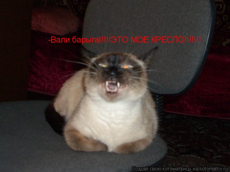 Котоматрица: -Вали барыга!!!!!ЭТО МОЕ КРЕСЛО!!!!!!!