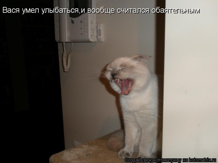 Котоматрица: Вася умел улыбаться,и вообще считался обаятельным