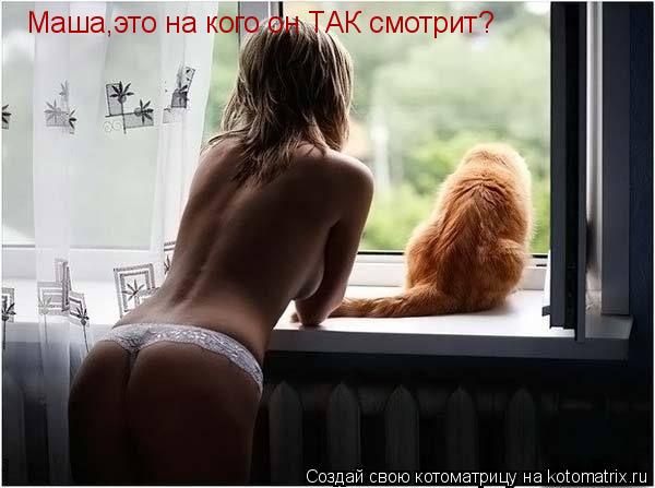 Котоматрица: Маша,это на кого он ТАК смотрит?