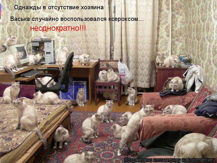 Котоматрица: Однажды в отсутствие хозяина Васька случайно воспользовался ксероксом... неоднократно!!!