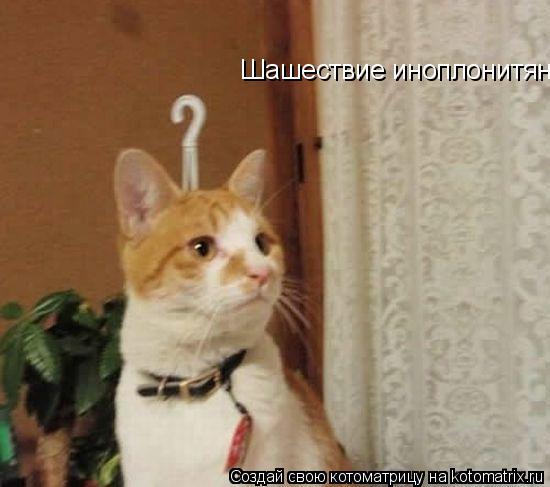 Котоматрица: Шашествие иноплонитян