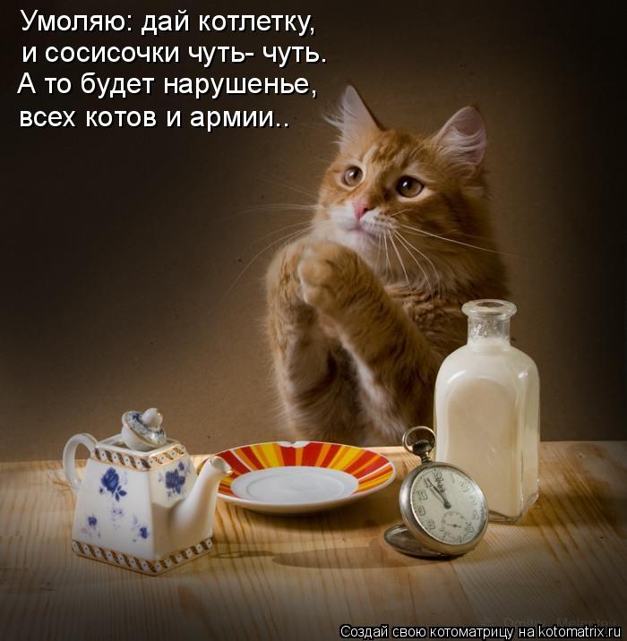 Котоматрица: Умоляю: дай котлетку, и сосисочки чуть- чуть. А то будет нарушенье, всех котов и армии..