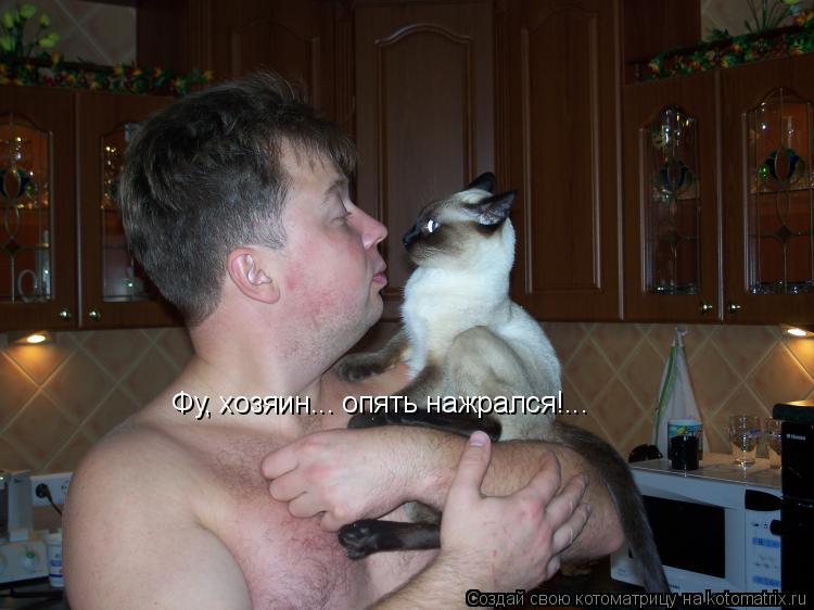 Котоматрица: Фу, хозяин... опять нажрался!...  Фу, хозяин... опять нажрался!...
