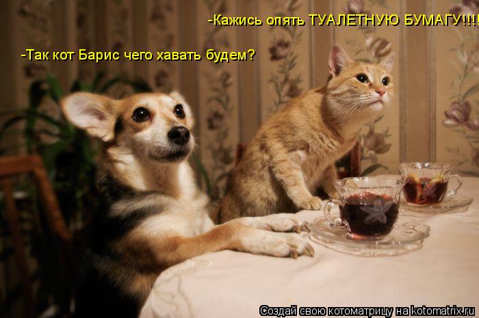 Котоматрица: -Кажись опять ТУАЛЕТНУЮ БУМАГУ!!!! -Так кот Барис чего хавать будем?