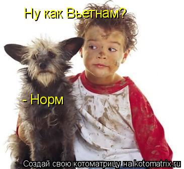 Котоматрица: Ну как Вьетнам? - Норм