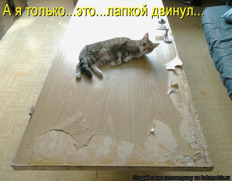 Котоматрица: А я только...это...лапкой двинул...