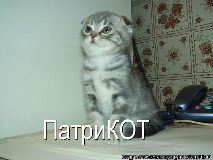 Котоматрица: ПатриКОТ