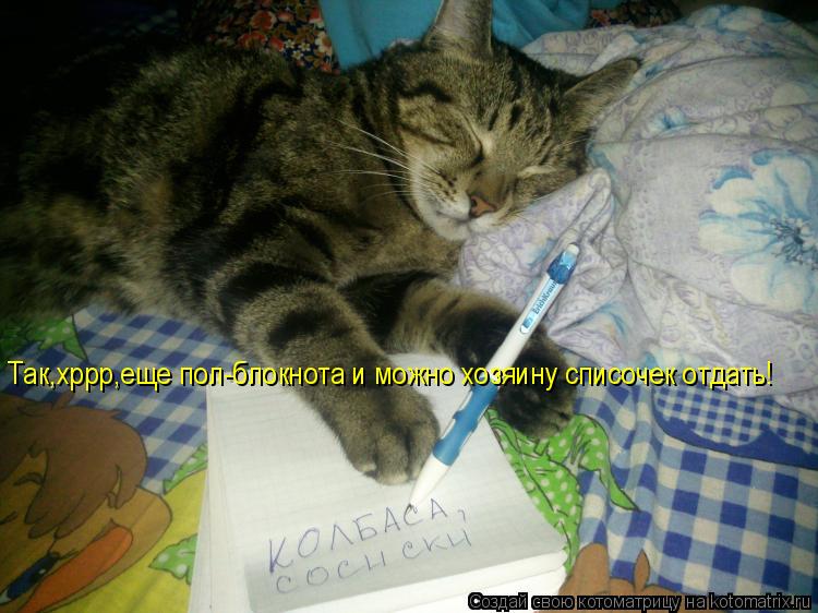 Котоматрица: Так,хррр,еще пол-блокнота и можно хозяину списочек отдать!