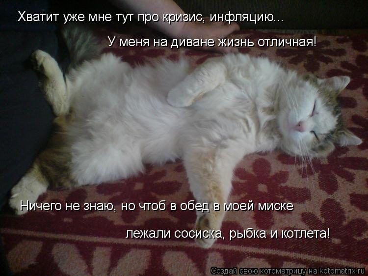 Котоматрица: Хватит уже мне тут про кризис, инфляцию... У меня на диване жизнь отличная! Ничего не знаю, но чтоб в обед в моей миске лежали сосиска, рыбка и 