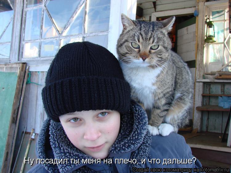 Котоматрица: Ну посадил ты меня на плечо, и что дальше?