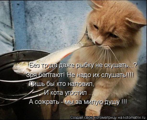 Без труда даже рыбку не скушать...? Зря болтают! Не надо их слушать!!!! Лишь бы кто наловил, И кота у... Котоматрица: Без труда даже рыбку не скушать...? Зря болтают! Не надо их слушать!!!! Лишь бы кто наловил, И кота угостил ... А сожрать - мы за милую душу !!!